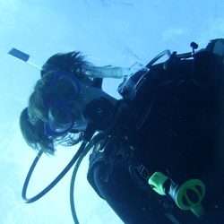 Diving in Puerto Morelos